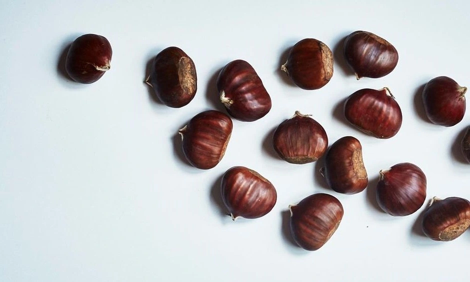 Horse chestnut image